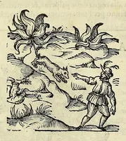 Picture 11 of 87 from Herbario nuouo (1585), leaf 86