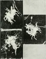 An illustration from Herculaneum, past, present & future (1908)