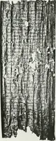An illustration from Herculaneum, past, present & future (1908)