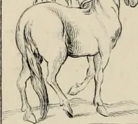 An illustration from Herculanum et Pompéi, recueil général des peintures, bronzes, mosaïques, etc., découverts jusqu'à ce jour, et reproduits d'apreès Le antichita di Ercolano, Il Museo borbonico, et tous les ouvrages analogues (1870)