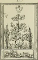 An illustration from Herculanum et Pompéi, recueil général des peintures, bronzes, mosaïques, etc., découverts jusqu'à ce jour, et reproduits d'apreès Le antichita di Ercolano, Il Museo borbonico, et tous les ouvrages analogues (1870)