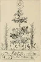 An illustration from Herculanum et Pompéi, recueil général des peintures, bronzes, mosaïques, etc., découverts jusqu'à ce jour, et reproduits d'apreès Le antichita di Ercolano, Il Museo borbonico, et tous les ouvrages analogues (1870)