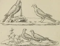 An illustration from Herculanum et Pompéi, recueil général des peintures, bronzes, mosaïques, etc., découverts jusqu'à ce jour, et reproduits d'apreès Le antichita di Ercolano, Il Museo borbonico, et tous les ouvrages analogues (1870)