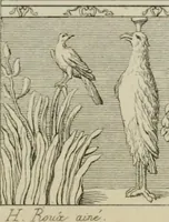 Picture 4 of 140 from Herculanum et Pompéi, recueil général des peintures, bronzes, mosaïques, etc., découverts jusqu'à ce jour, et reproduits d'apreès Le antichita di Ercolano, Il Museo borbonico, et tous les ouvrages analogues (1870), leaf 14