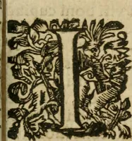 An illustration from Hercules piochymicus (1634)