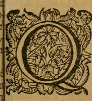 An illustration from Hercules piochymicus (1634)