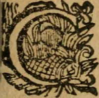 An illustration from Hercules piochymicus (1634)