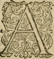 An illustration from Hercules piochymicus (1634)