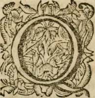 An illustration from Hercules piochymicus (1634)