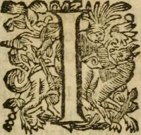 An illustration from Hercules piochymicus (1634)