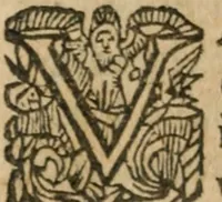 An illustration from Hercules piochymicus (1634)