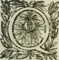An illustration from Hercvle Fvrievx : tragedie (1639)