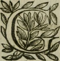 An illustration from Hercvle Fvrievx : tragedie (1639)