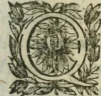 An illustration from Hercvle Fvrievx : tragedie (1639)