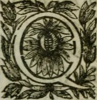 An illustration from Hercvle Fvrievx : tragedie (1639)