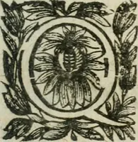 An illustration from Hercvle Fvrievx : tragedie (1639)