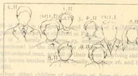 Picture 6 of 9 from Heredity of skin color in negro-white crosses (1913), leaf 130