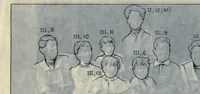 An illustration from Heredity of skin color in negro-white crosses. With appendix, being abridgement of field-notes, chiefly of Florence H. Danielson (1913)