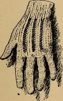 An illustration from The heritage of dress; being notes on the history and evolution of clothes (1912)