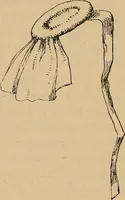 An illustration from The heritage of dress; being notes on the history and evolution of clothes (1912)