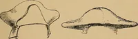 An illustration from The heritage of dress; being notes on the history and evolution of clothes (1912)