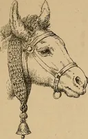 An illustration from The heritage of dress; being notes on the history and evolution of clothes (1912)