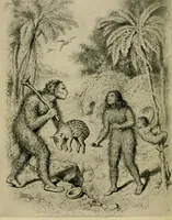 An illustration from The heritage of dress; being notes on the history and evolution of clothes (1912)
