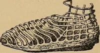 An illustration from The heritage of dress; being notes on the history and evolution of clothes (1912)