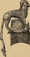 Picture 88 of 182 from The heritage of dress; being notes on the history and evolution of clothes (1912), leaf 99