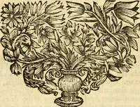 An illustration from Hermanni Witsii Aegyptiaca et Dekaphylon : sive, De Aegyptiacorum sacrorum cum Hebraicis collatione libri tres. Et de decem tribubus Israelis liber singularis. Accessit diatribe de legione fulminatrice christianorum, sub imperatore Marco Aurelio Antonino (1696)
