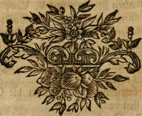 An illustration from Hermetischer Triumph-Bogen, auf zweyen Wunder-Säulen der grossen und kleinen Welt bevestiget : das ist, zwey Tractätlein von der wahren, ewigen und einigen Weisheit zu des Menschen zeitlichem und ewigem Wohlseyn : das erste, genannt Cabbala mystica naturae, handelnd von dem feurigen Liebes-Saltze der göttlichen Barmhertzigkeit, sonst genannt lapis philosophorum : und das zweyte, Occulta occultissime, handelnd von der ersten materia lapidis philosophorum, und von dem Menschen, sonderlich aber von ihrer Reinigung, um sie zu dem Endzweck der Weisheit zu befördern (1741)