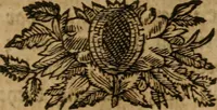 An illustration from Hermetischer Triumph-Bogen, auf zweyen Wunder-Säulen der grossen und kleinen Welt bevestiget : das ist, zwey Tractätlein von der wahren, ewigen und einigen Weisheit zu des Menschen zeitlichem und ewigem Wohlseyn : das erste, genannt Cabbala mystica naturae, handelnd von dem feurigen Liebes-Saltze der göttlichen Barmhertzigkeit, sonst genannt lapis philosophorum : und das zweyte, Occulta occultissime, handelnd von der ersten materia lapidis philosophorum, und von dem Menschen, sonderlich aber von ihrer Reinigung, um sie zu dem Endzweck der Weisheit zu befördern (1741)