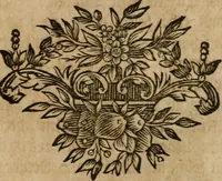 An illustration from Hermetischer Triumph-Bogen, auf zweyen Wunder-Säulen der grossen und kleinen Welt bevestiget : das ist, zwey Tractätlein von der wahren, ewigen und einigen Weisheit zu des Menschen zeitlichem und ewigem Wohlseyn : das erste, genannt Cabbala mystica naturae, handelnd von dem feurigen Liebes-Saltze der göttlichen Barmhertzigkeit, sonst genannt lapis philosophorum : und das zweyte, Occulta occultissime, handelnd von der ersten materia lapidis philosophorum, und von dem Menschen, sonderlich aber von ihrer Reinigung, um sie zu dem Endzweck der Weisheit zu befördern (1741)