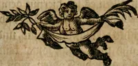 An illustration from Hermetischer Triumph-Bogen, auf zweyen Wunder-Säulen der grossen und kleinen Welt bevestiget : das ist, zwey Tractätlein von der wahren, ewigen und einigen Weisheit zu des Menschen zeitlichem und ewigem Wohlseyn : das erste, genannt Cabbala mystica naturae, handelnd von dem feurigen Liebes-Saltze der göttlichen Barmhertzigkeit, sonst genannt lapis philosophorum : und das zweyte, Occulta occultissime, handelnd von der ersten materia lapidis philosophorum, und von dem Menschen, sonderlich aber von ihrer Reinigung, um sie zu dem Endzweck der Weisheit zu befördern (1741)