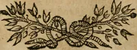 An illustration from Hermetischer Triumph-Bogen, auf zweyen Wunder-Säulen der grossen und kleinen Welt bevestiget : das ist, zwey Tractätlein von der wahren, ewigen und einigen Weisheit zu des Menschen zeitlichem und ewigem Wohlseyn : das erste, genannt Cabbala mystica naturae, handelnd von dem feurigen Liebes-Saltze der göttlichen Barmhertzigkeit, sonst genannt lapis philosophorum : und das zweyte, Occulta occultissime, handelnd von der ersten materia lapidis philosophorum, und von dem Menschen, sonderlich aber von ihrer Reinigung, um sie zu dem Endzweck der Weisheit zu befördern (1741)