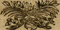 An illustration from Hermetischer Triumph-Bogen, auf zweyen Wunder-Säulen der grossen und kleinen Welt bevestiget : das ist, zwey Tractätlein von der wahren, ewigen und einigen Weisheit zu des Menschen zeitlichem und ewigem Wohlseyn : das erste, genannt Cabbala mystica naturae, handelnd von dem feurigen Liebes-Saltze der göttlichen Barmhertzigkeit, sonst genannt lapis philosophorum : und das zweyte, Occulta occultissime, handelnd von der ersten materia lapidis philosophorum, und von dem Menschen, sonderlich aber von ihrer Reinigung, um sie zu dem Endzweck der Weisheit zu befördern (1741)