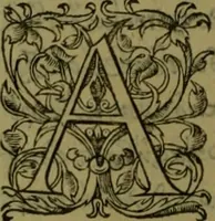 Picture 21 of 37 from Herodoti Halicarnassei Historiae libri IX : et De vita Homeri libellus (1595), leaf 399