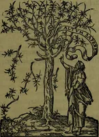 Picture 2 of 37 from Herodoti Halicarnassei Historiae libri IX : et De vita Homeri libellus (1595), leaf 4