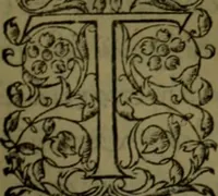 An illustration from Herodoti Halicarnassei Historiae libri IX : et De vita Homeri libellus (1595)