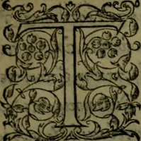 An illustration from Herodoti Halicarnassei Historiae libri IX : et De vita Homeri libellus (1595)
