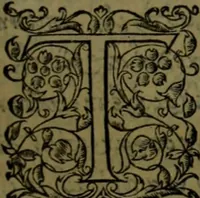 An illustration from Herodoti Halicarnassei Historiae libri IX : et De vita Homeri libellus (1595)