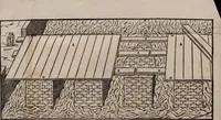 Picture 5 of 37 from Herodoti Halicarnassei Historiae libri IX : et De vita Homeri libellus (1595), leaf 69