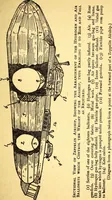 An illustration from Heroic airmen and their exploits (1917)
