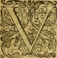 An illustration from Heroinæ nobilissimæ Ioannæ Darc Lotharingæ : vvlgo avrelianensis pvelleæ historia, ex variis grauissimæ atque incorruptissimæ fidei scriptoribus excerpta. Eiusdem mauortice Virginis Innocentia a calumniis vaindicata (1612)