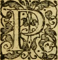 An illustration from Heroinæ nobilissimæ Ioannæ Darc Lotharingæ : vvlgo avrelianensis pvelleæ historia, ex variis grauissimæ atque incorruptissimæ fidei scriptoribus excerpta. Eiusdem mauortice Virginis Innocentia a calumniis vaindicata (1612)