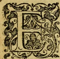 An illustration from Heroinæ nobilissimæ Ioannæ Darc Lotharingæ : vvlgo avrelianensis pvelleæ historia, ex variis grauissimæ atque incorruptissimæ fidei scriptoribus excerpta. Eiusdem mauortice Virginis Innocentia a calumniis vaindicata (1612)