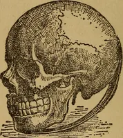 An illustration from Herrmann's wizards' manual; a practical treatise on coin tricks (1916)