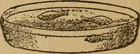 An illustration from Herrmann's wizards' manual; a practical treatise on coin tricks (1916)