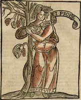 Picture 14 of 59 from Herrn Caesaris Ripa von Perusien, Ritters von St. Mauritio und Lazaro [et]c., Erneuerte Iconologia, oder, Bildersprach : worinen allerhand anmuhtige Aussbildungen ... erkläret werden (1669), leaf 52