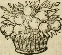 An illustration from Herrn Georgii von Welling Opus mago-cabbalisticum et theosophicum : darinnen der Ursprung, Natur, Eigenschaften und Gebrauch des Saltzes, Schwefels und Mercurii in dreyen Theilen beschrieben .. (1760)